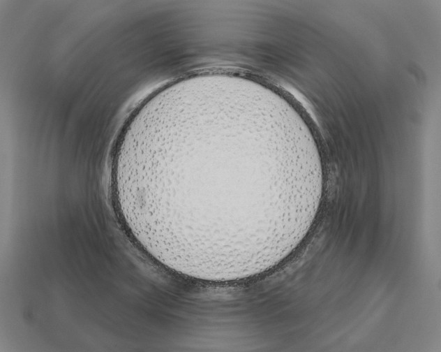 X0000112541419200909281050