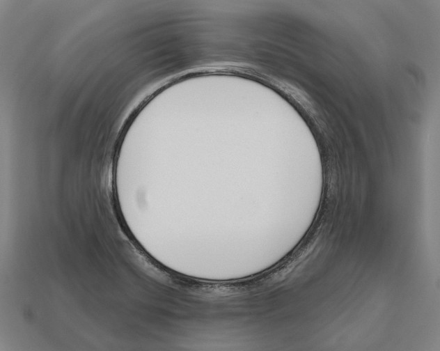 X0000112541420200909281050