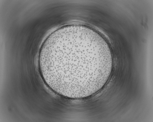 X0000112541421200909281050