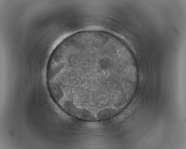 X0000112541422200909281050