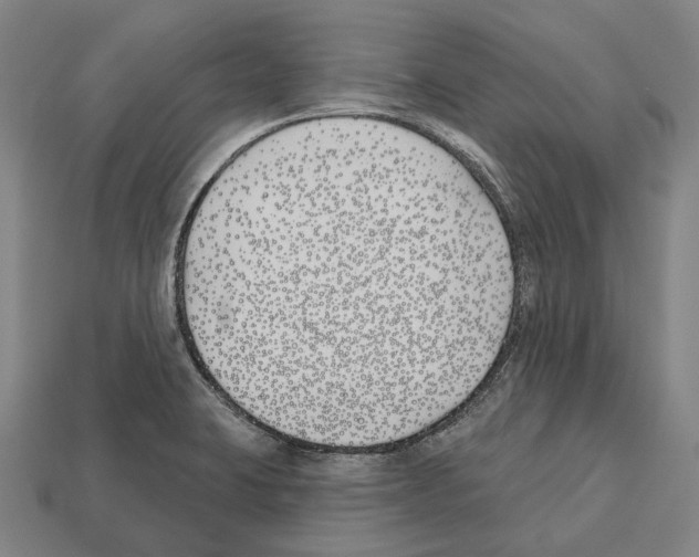 X0000112541423200909281050