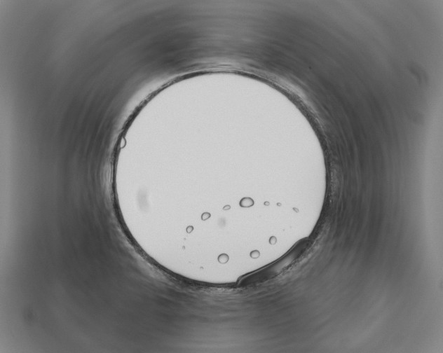 X0000112541424200909281050