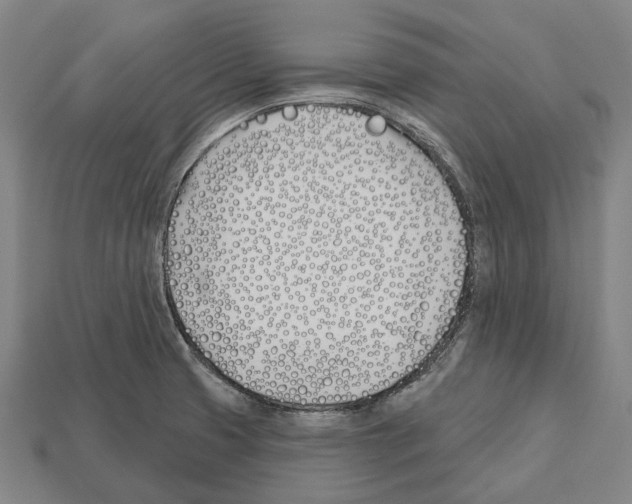 X0000112541425200909281050