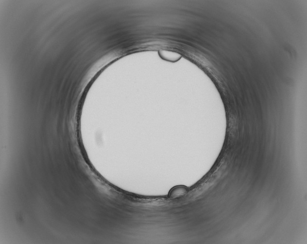 X0000112541426200909281050