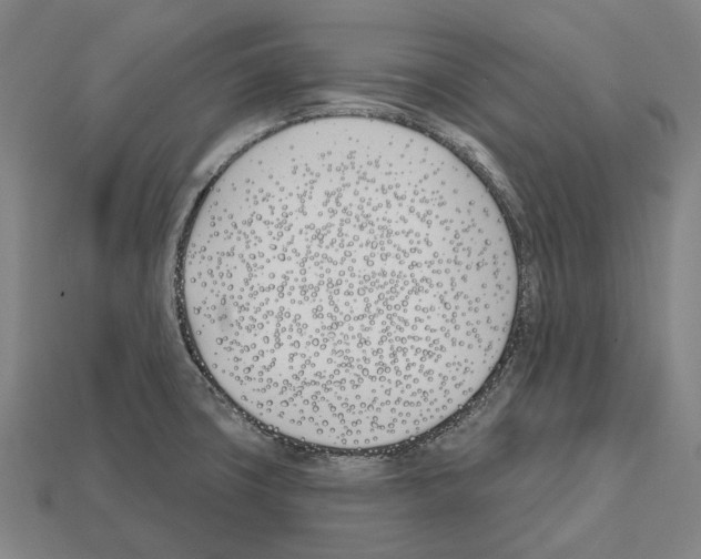 X0000112541427200909281050