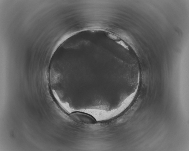 X0000112541428200909281050