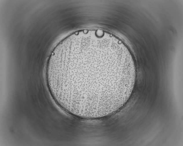 X0000112541429200909281050
