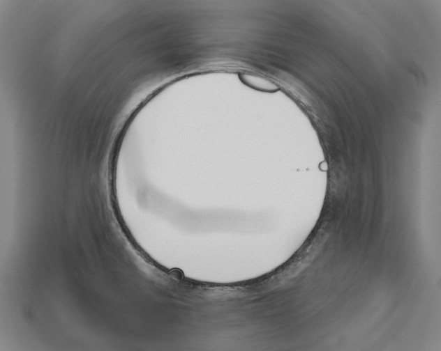 X0000112541430200909281050