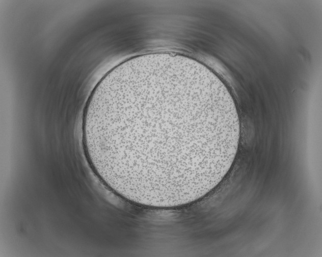 X0000112541431200909281050