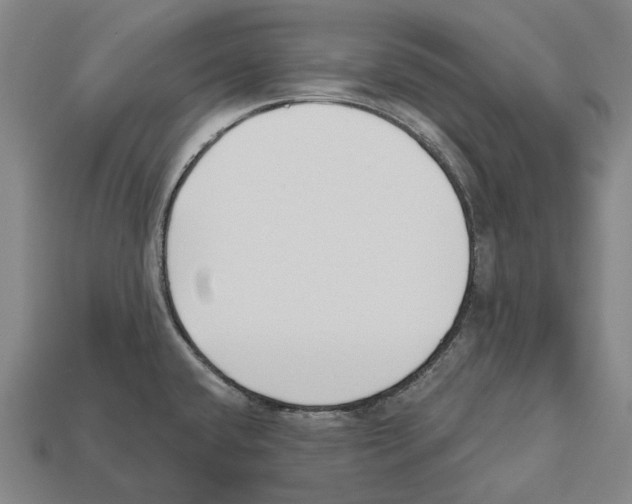 X0000112541432200909281050