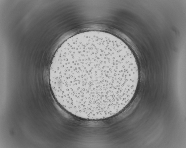 X0000112541433200909281050