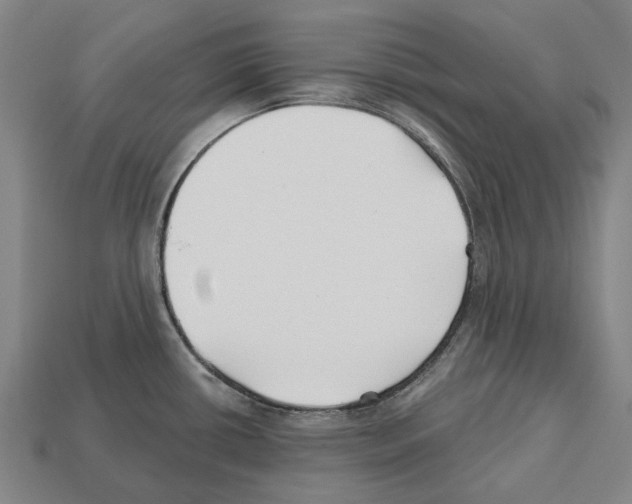X0000112541434200909281050