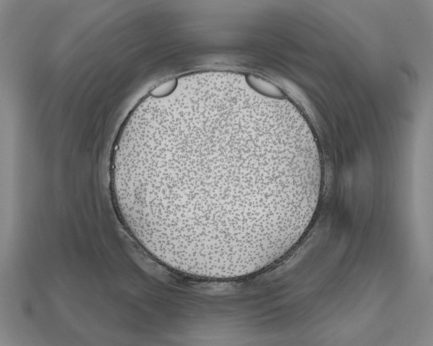 X0000112541435200909281050
