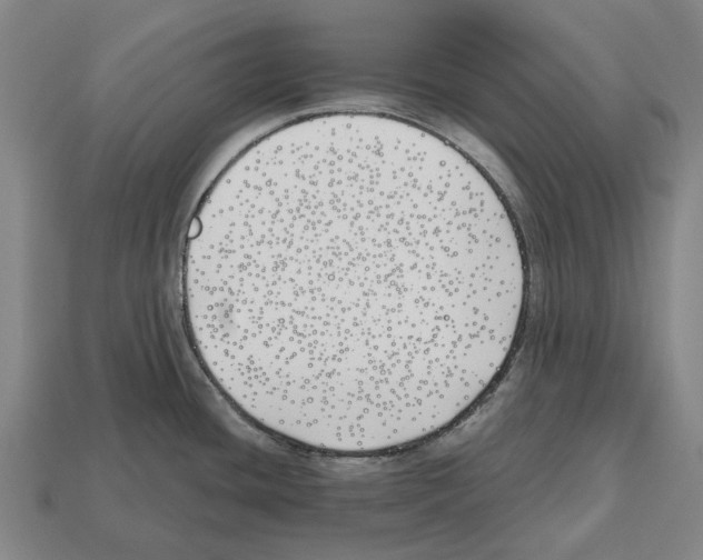 X0000112541436200909281050