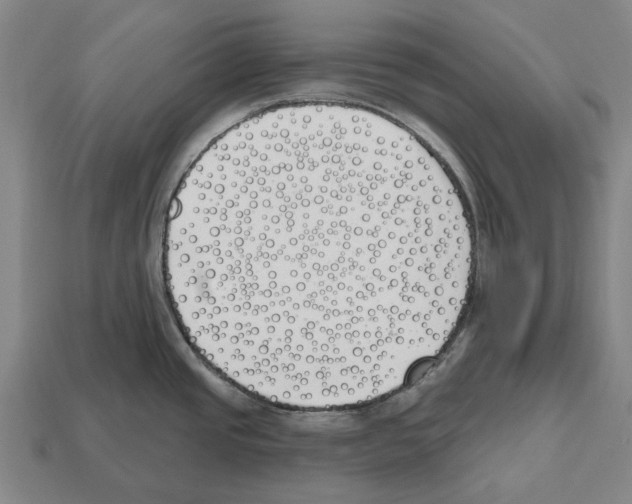 X0000112541437200909281050