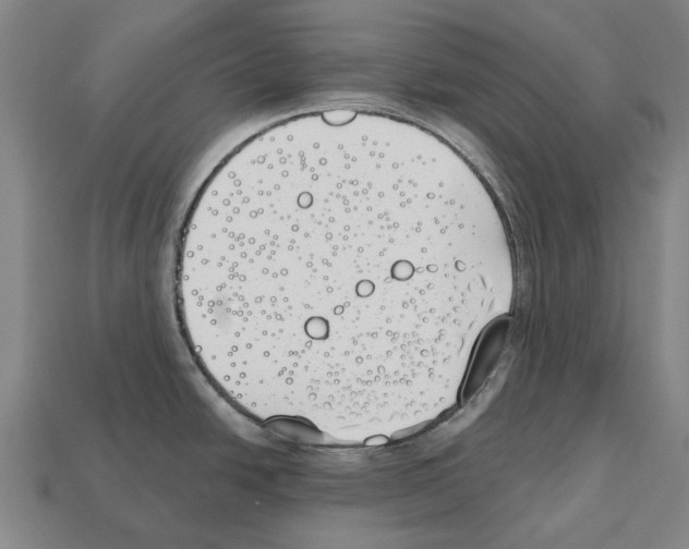 X0000112541438200909281050