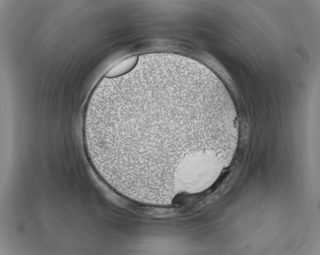X0000112541439200909281050