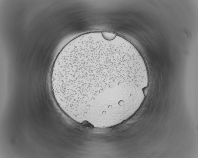 X0000112541440200909281050