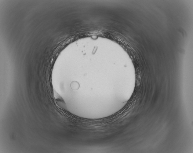 X0000112541441200909281049