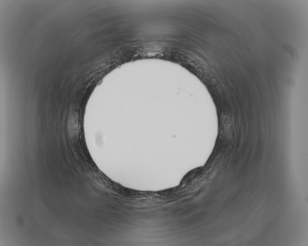 X0000112541442200909281049