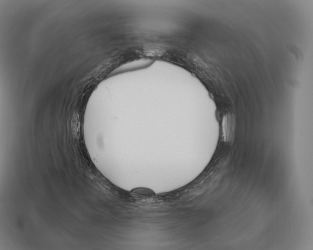 X0000112541443200909281049