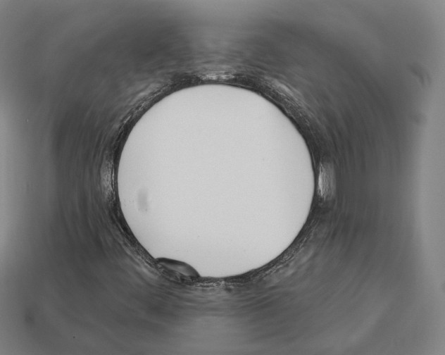 X0000112541444200909281049