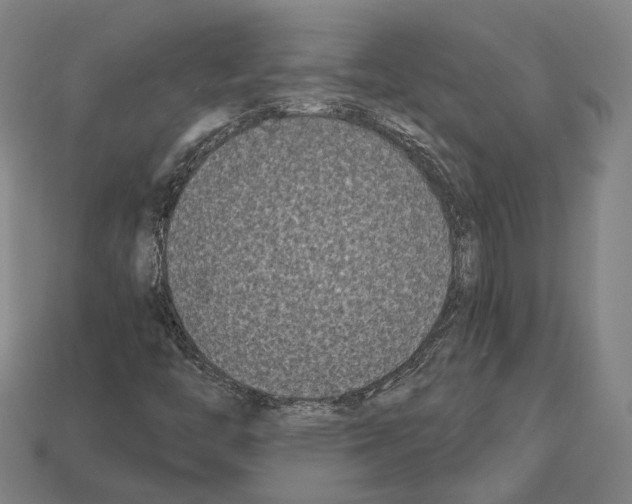 X0000112541446200909281049