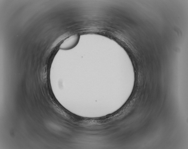 X0000112541450200909281049