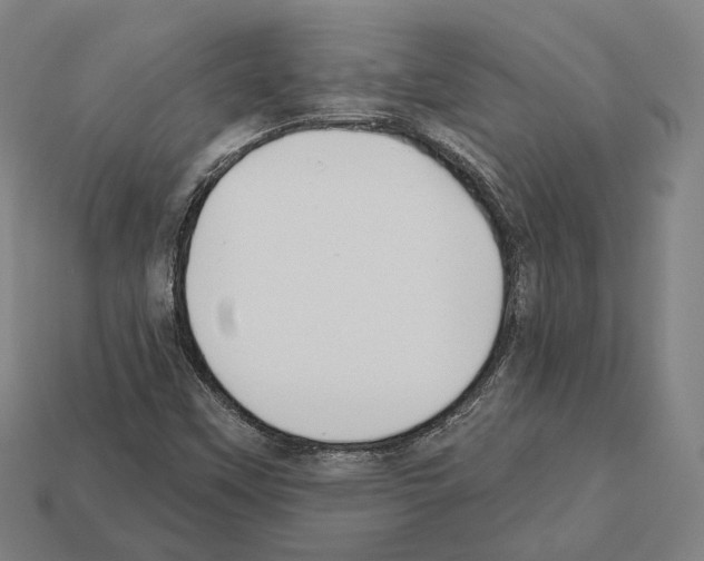 X0000112541451200909281049