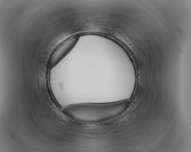 X0000112541452200909281049