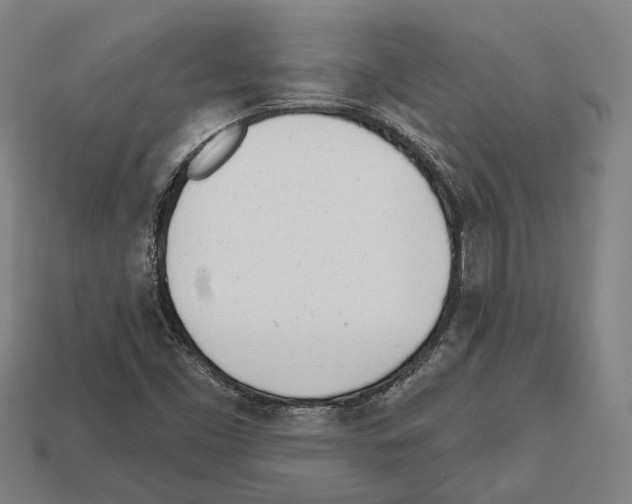X0000112541453200909281049