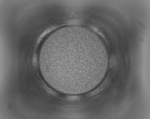 X0000112541454200909281049
