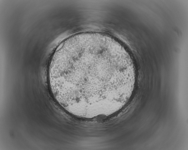 X0000112541455200909281049