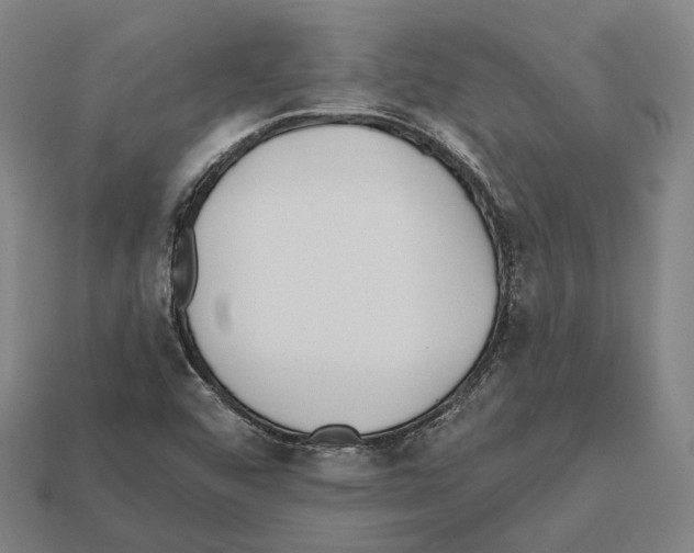 X0000112541456200909281049