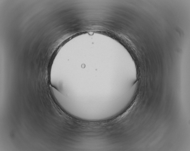 X0000112541457200909281049