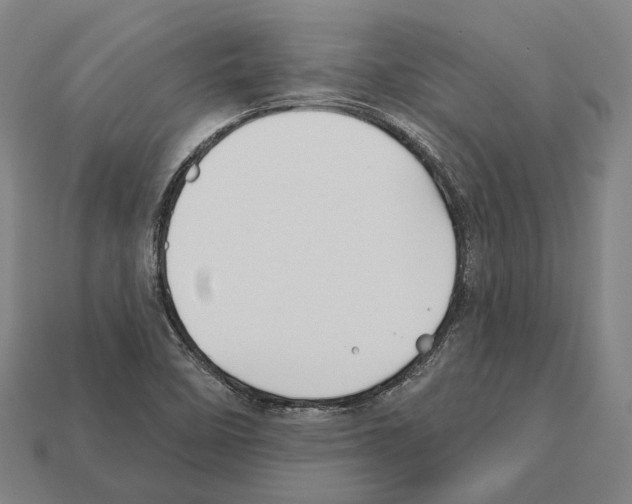 X0000112541458200909281049