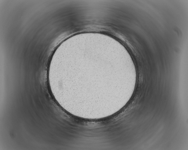 X0000112541459200909281049