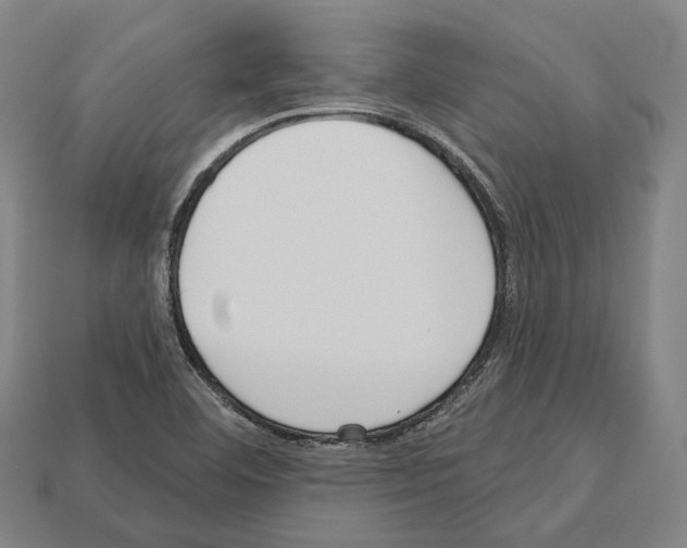 X0000112541460200909281049