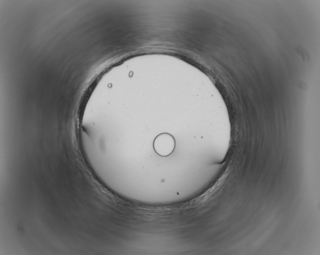 X0000112541461200909281049