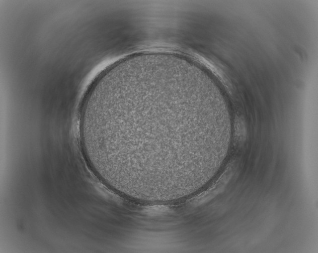 X0000112541462200909281049