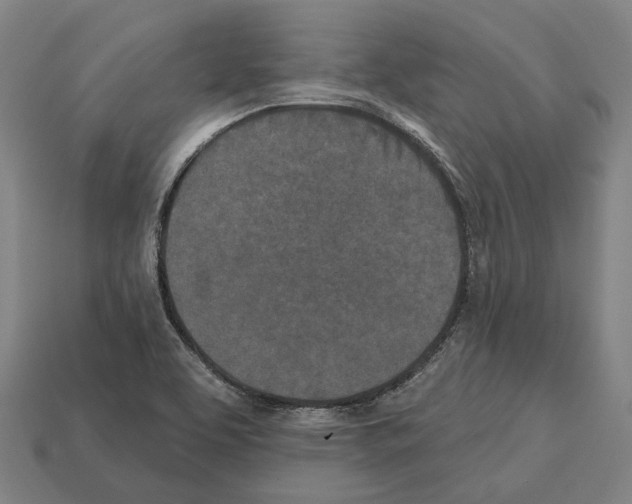 X0000112541463200909281049