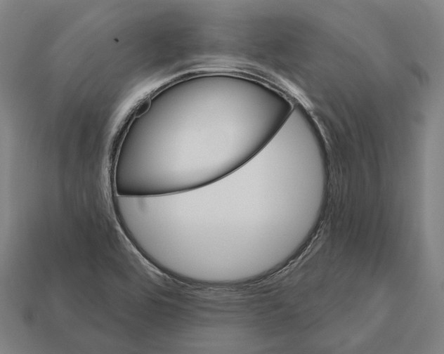 X0000112541464200909281049
