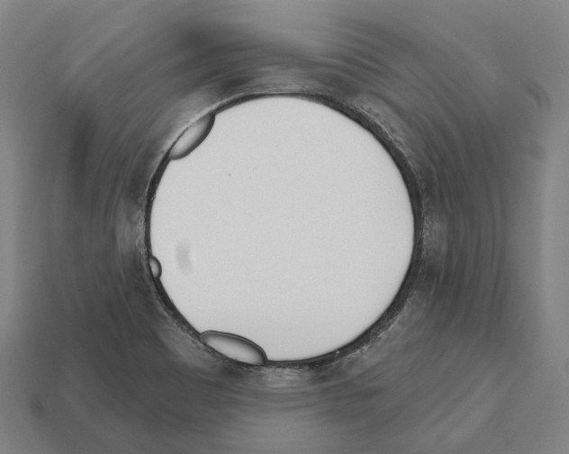 X0000112541465200909281049