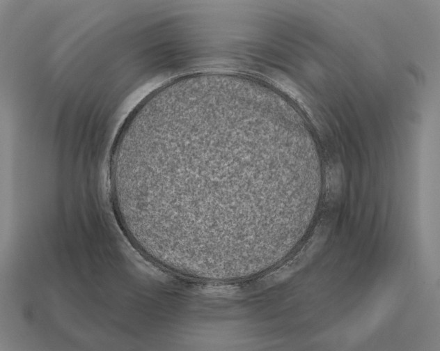 X0000112541466200909281049