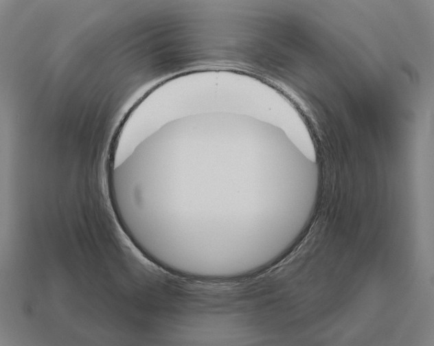 X0000112541468200909281049
