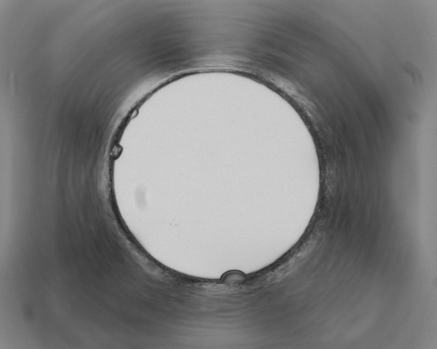 X0000112541469200909281049