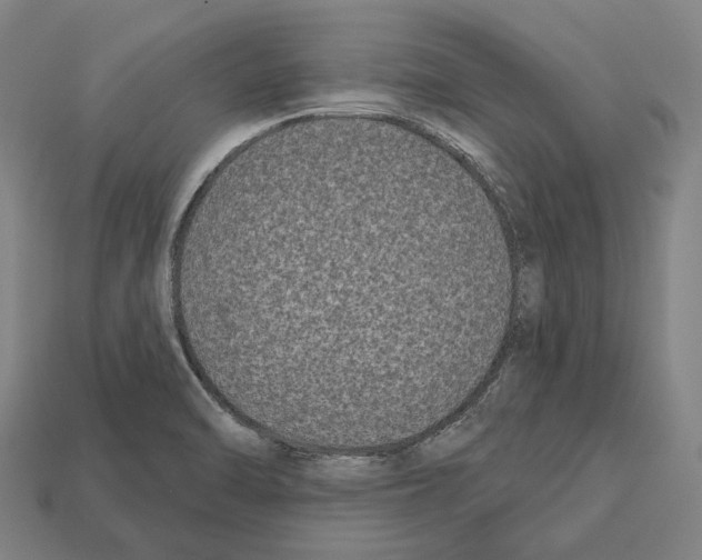 X0000112541470200909281049
