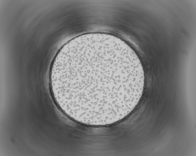 X0000112541471200909281049