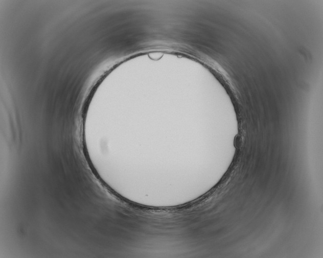 X0000112541472200909281049