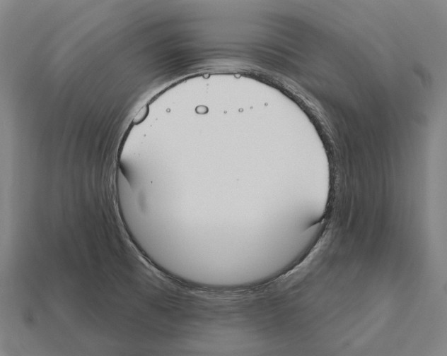 X0000112541473200909281049